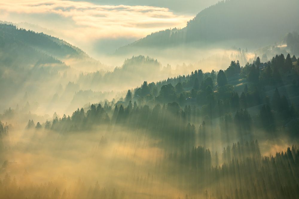 Schwarzwald